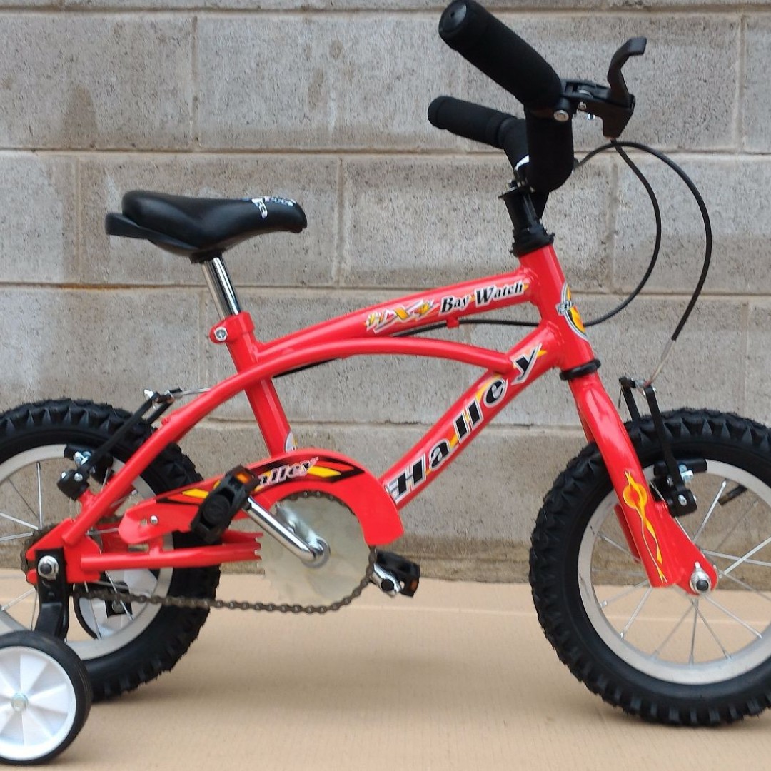bicicleta-playera-r12-varon-acero-importado-v-brake-y-rayos-bin19031