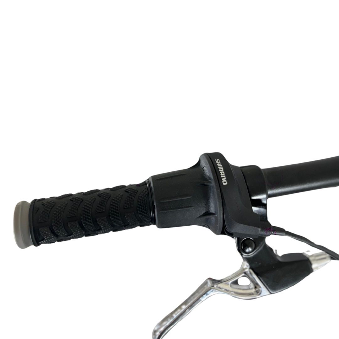 bicicleta-plegable-curve-acero-firebird-r20-frenos-a-disco-acero-6vel-binplegcur