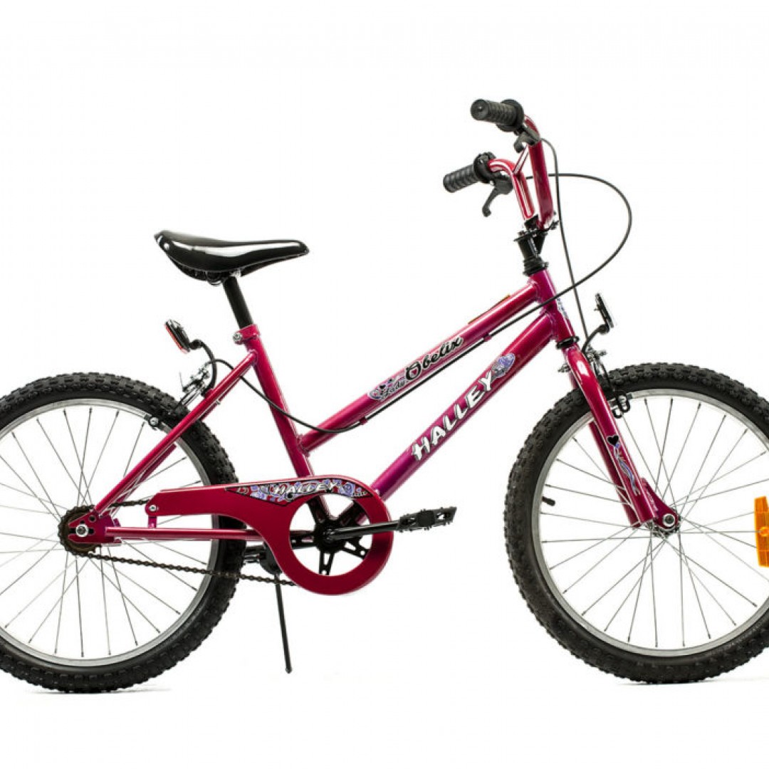 bicicleta-cross-r20-dama-bin19067