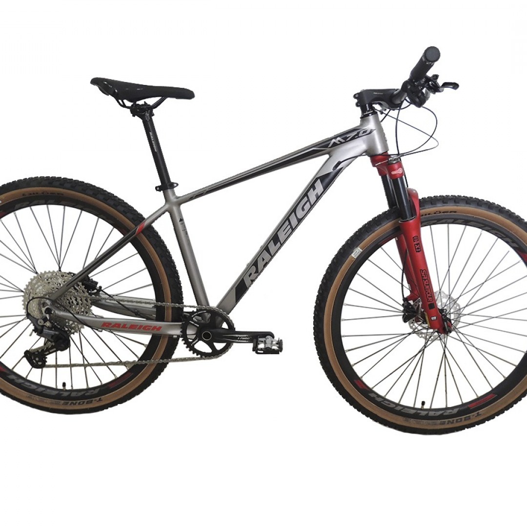 raleigh-70-r29-15-gris-con-rojo-bin70-29a