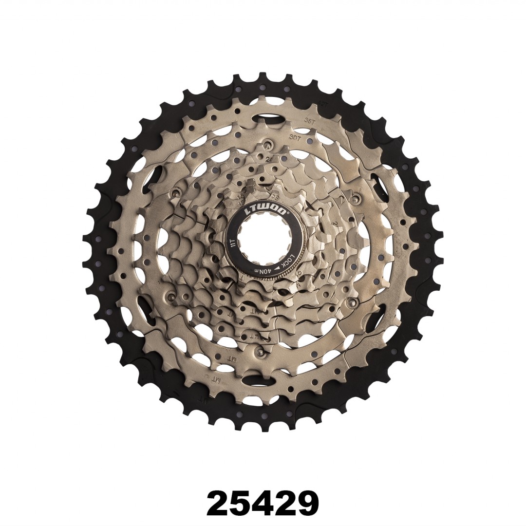 pinon-ltwoo-cs-a5-1142-9v-25429